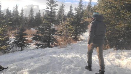 Men’s The North Face Chilkat V 400 Review