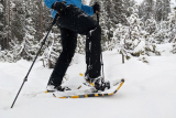 Atlas Montane Snowshoes Review | CleverHiker