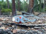 Petzl Bindi Headlamp Review | CleverHiker