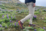 Men’s REI Trailmade Pants Review