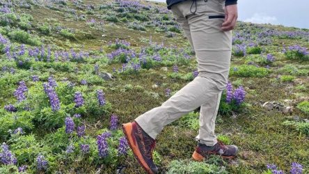 Men’s REI Trailmade Pants Review