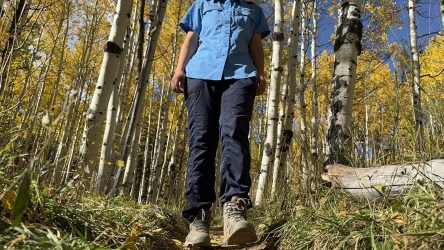 The North Face Aphrodite 2.0 Hiking Pants Review