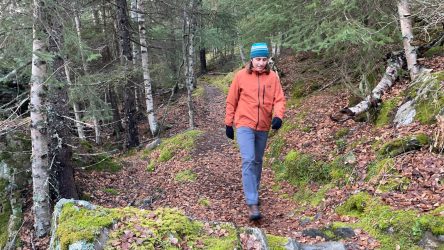 Smartwool Liner Gloves Review | CleverHiker