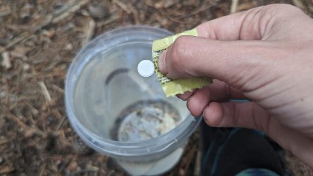 Katadyn Micropur Water Purification Tablets Review — CleverHiker