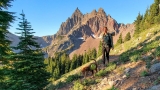 Three Fingered Jack Loop Backpacking Guide — CleverHiker