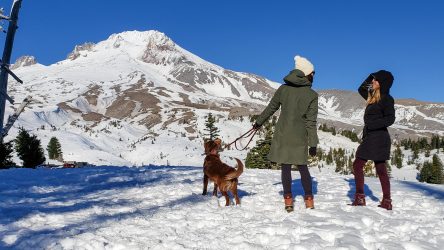 20 Hot Deals at REI’s Holiday Warm Up Sale 2023